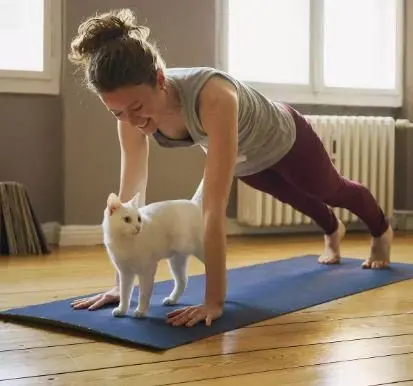 برنامه ورزش در خانه