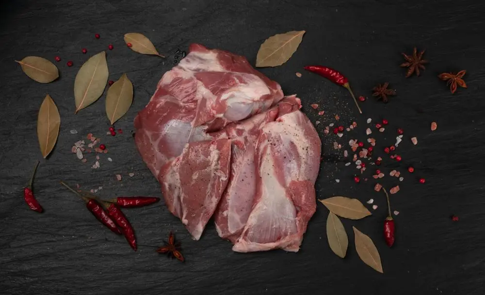 خواص گوشت شتر