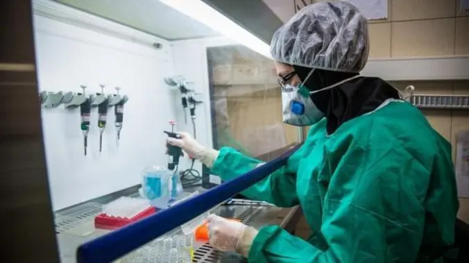 شناسایی ژنتیکی علت چاقی