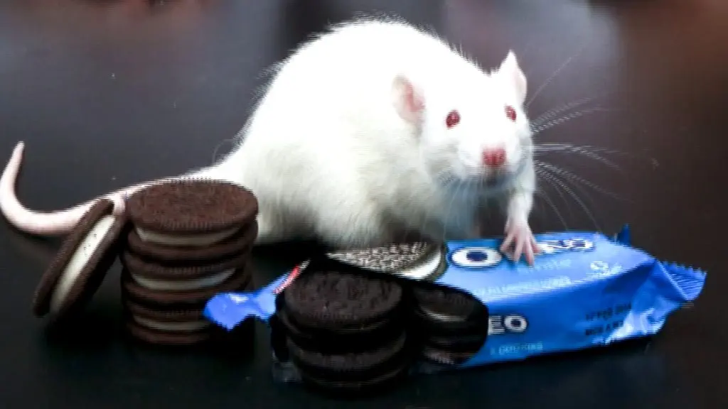 اعتیاد به خوردن اعتیاد به غذا چاقی