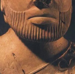 آریایی ها نژاد برتر ژن آریایی تبارشناسی مای ژن