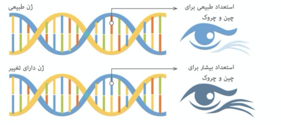 چروک-کلاژن-زیبایی-و-تست-ژنتیکی-پوست-مای-ژن.jpg