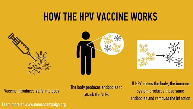 واکسن hpv گارداسیل چطور کار میکند