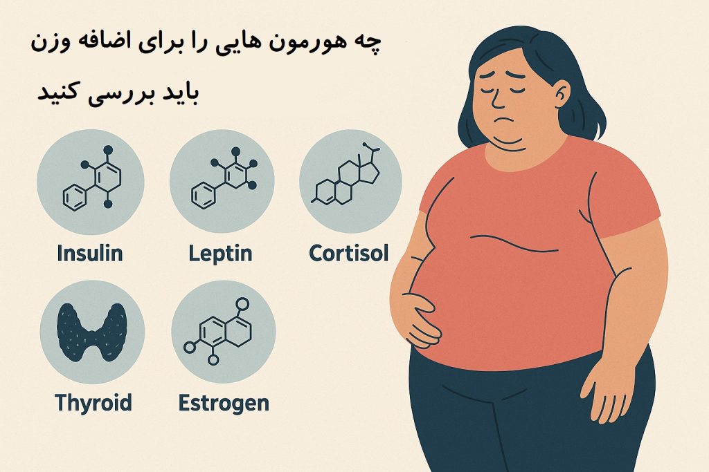 چه هورمون هایی بر چاقی تاثیر می گذارند
