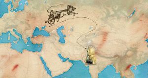 بررسی نژاد آریایی آزمایش نژاد و تبار شناسی مای ژن