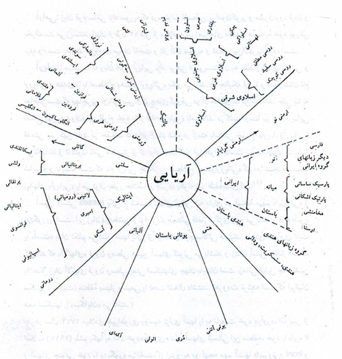 ژن آریایی زبان آریایی تبارشناسی مای ژن