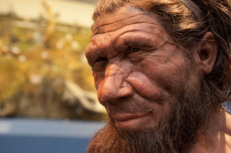 انسان فلورسی (Homo floresiensis)