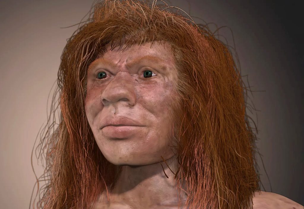 انسان تبار دنیسووا (Homo Denisova)