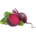Beetroot_Icon