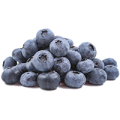Blueberry_Icon